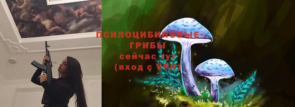 крисы Алексеевка