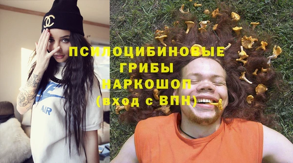 не бодяженный Заводоуковск